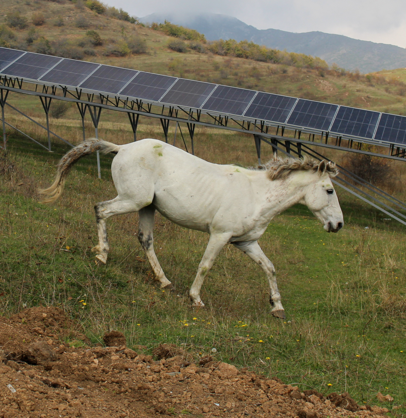 Clean Energy